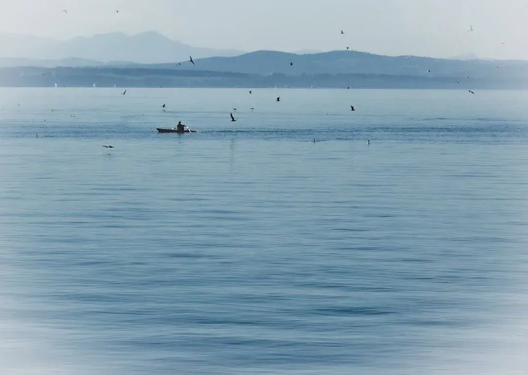 Une petite embarcation avec une personne à bord flotte sur une eau bleue calme, entourée d'oiseaux en vol. Des collines et des montagnes se dessinent au loin sous un ciel brumeux.