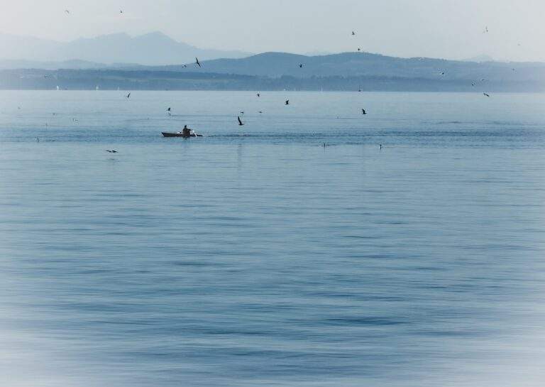 Une petite embarcation avec une personne à bord flotte sur une eau bleue calme, entourée d'oiseaux en vol. Des collines et des montagnes se dessinent au loin sous un ciel brumeux.