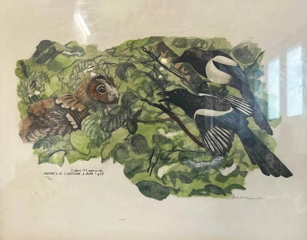 Une estampe de l'artiste visionnaire Robert Hainard représente une chouette brune perchée sur une branche feuillue, face à deux oiseaux noirs et blancs dans un fourré vert dense. Signée et datée de 1965, l'œuvre présente un reflet visible sur le cadre en verre.