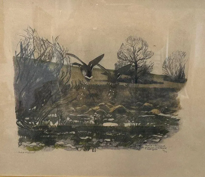 Cette peinture à l'aquarelle de style naturaliste de Robert Hainard représente deux oiseaux volant en rase-mottes au-dessus d'un étang, entouré d'arbres sans feuilles et de feuillages d'hiver. Les reflets scintillent dans l'eau, conférant à l'ensemble une atmosphère calme et nuageuse.