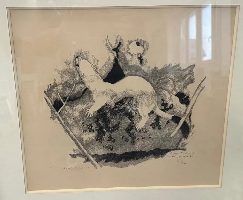 Un dessin encadré en noir et blanc dans le style du naturaliste Robert Hainard représente une fouine ou une belette sur des rochers, entourée de formes abstraites et de branches, signé et daté par l'artiste visionnaire dans le coin inférieur droit.