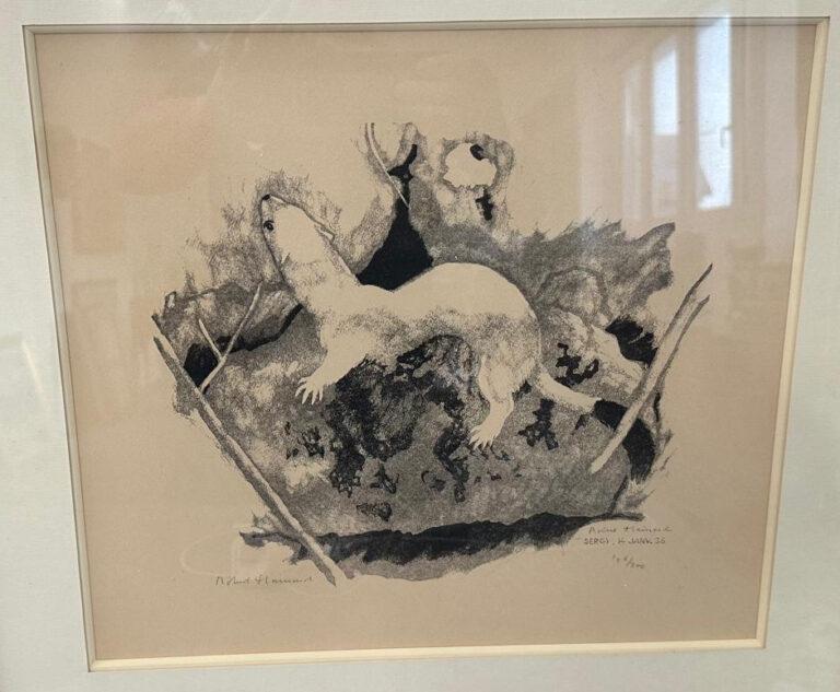 Un dessin encadré en noir et blanc dans le style du naturaliste Robert Hainard représente une fouine ou une belette sur des rochers, entourée de formes abstraites et de branches, signé et daté par l'artiste visionnaire dans le coin inférieur droit.