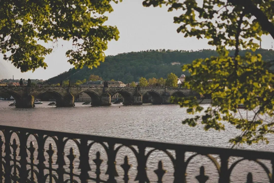 Pont de pierre historique traversant une large rivière, vu à travers des branches d'arbres feuillus et une balustrade noire ornée, avec une colline boisée en arrière-plan sous un ciel lumineux.